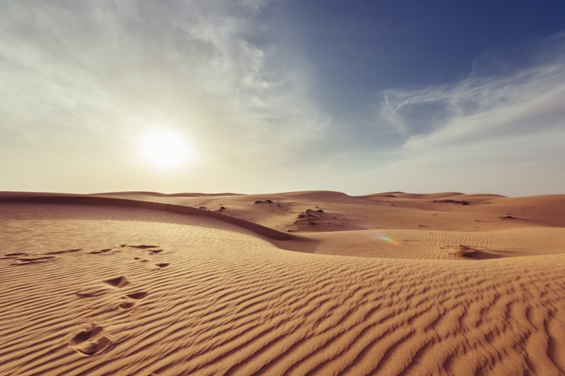 Golden desert sands of the Sahara